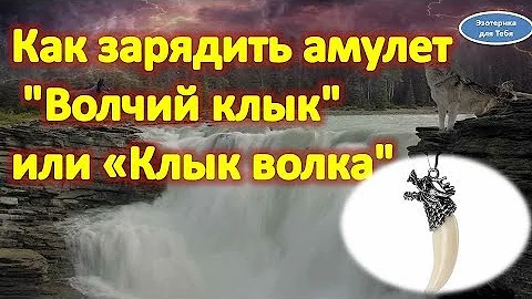 Как зарядить амулет волчий клык или клык волка