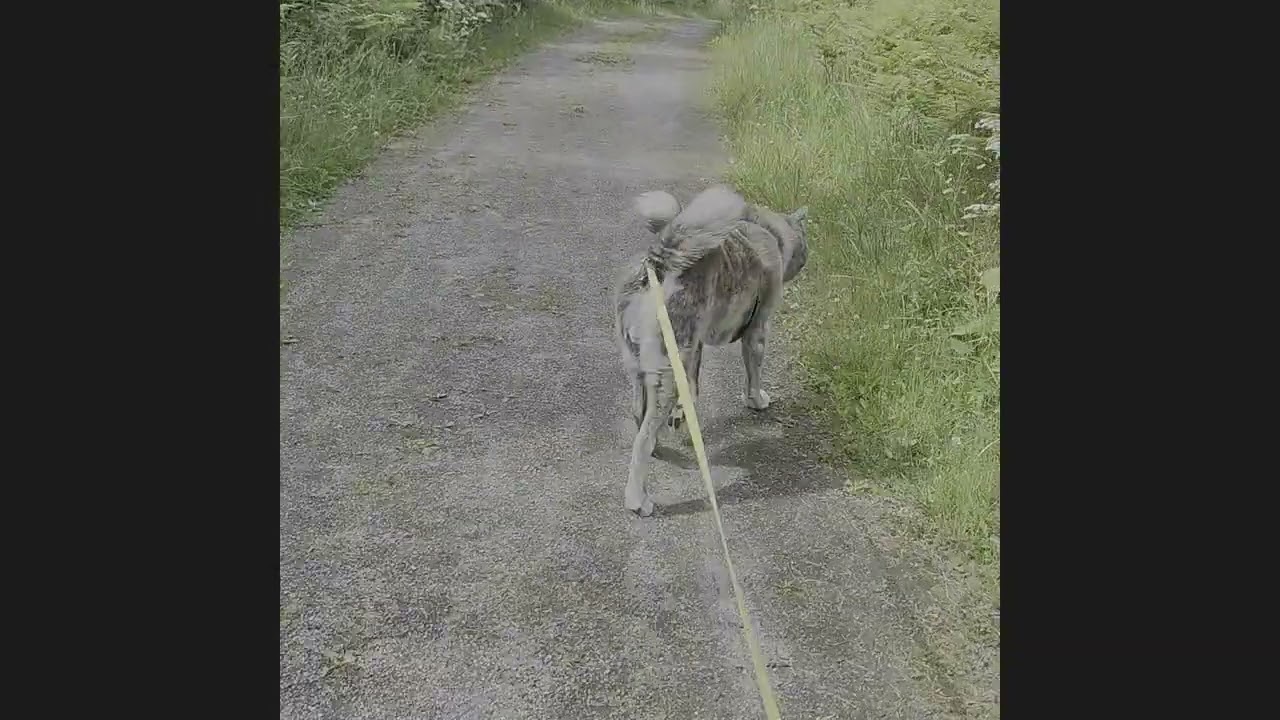 Kävelydieetti osa 3 