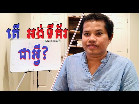 តើអ្វីជា អង់ទីគ័រ ? | What Are Antibodies?