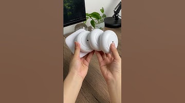 Best Budget Water Leak Detectors for Renters and Homeowners