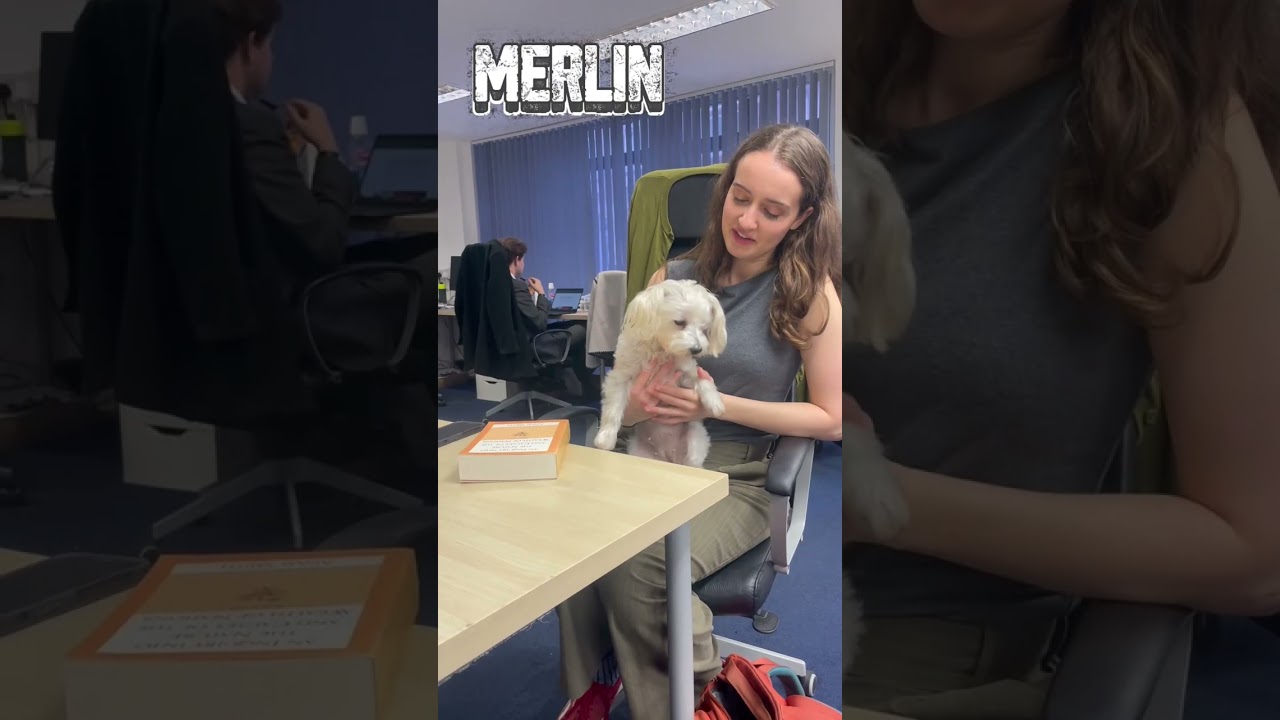 What taxes should Reeves abolish?