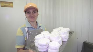 видео: Производство сыра Камамбер на картинка: Производство сыра Камамбер на