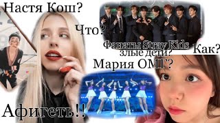 отношение к K-pop Лайкеров,тиктокеров/агро стэй и другие фанаты/Милана Некрасова/Настя Кош/Мария OMG