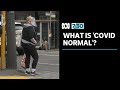 Dr Norman Swan on lockdowns and what 'COVID normal' life might look like | 7.30