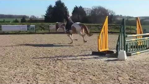 Forelock and Load Kiowas Aces High 05 03 14