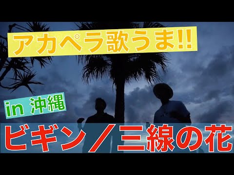 【沖縄のビーチで歌ってみた】三線の花 アカペラVer.
