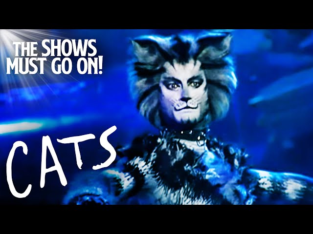 'Jellicle Songs for Jellicle Cats' | Cats The Musical class=