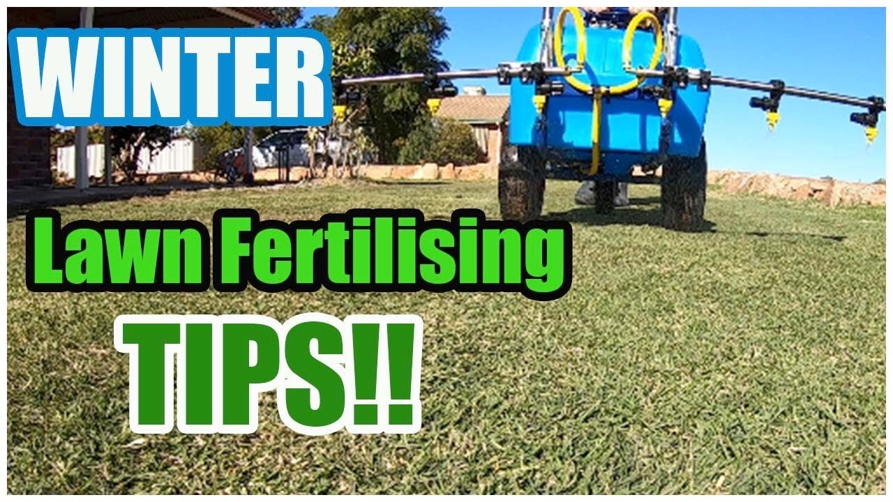Winter Fertiliser Tips for Lawn - YouTube