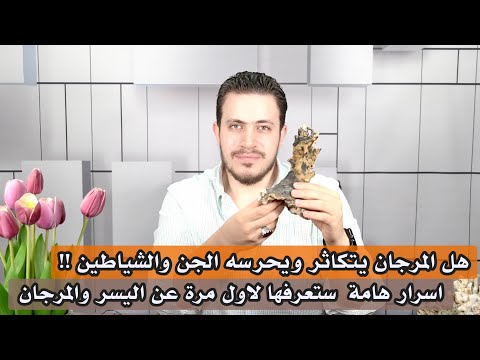 هل المرجان واليسر يجلب الاموال ويبطل السحر ويطرد الشياطين اسرار هامة لاول مرة ستعرفها عن المرجان