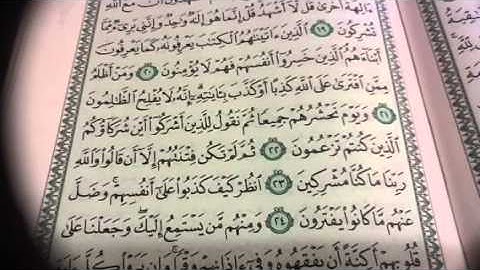 سورة الانعام ص١٣٠