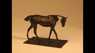 Coffee Conversation: Thoroughbred Horse Walking