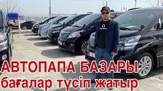 Грузиядағы ең үлкен автобазар |QAZAUTO