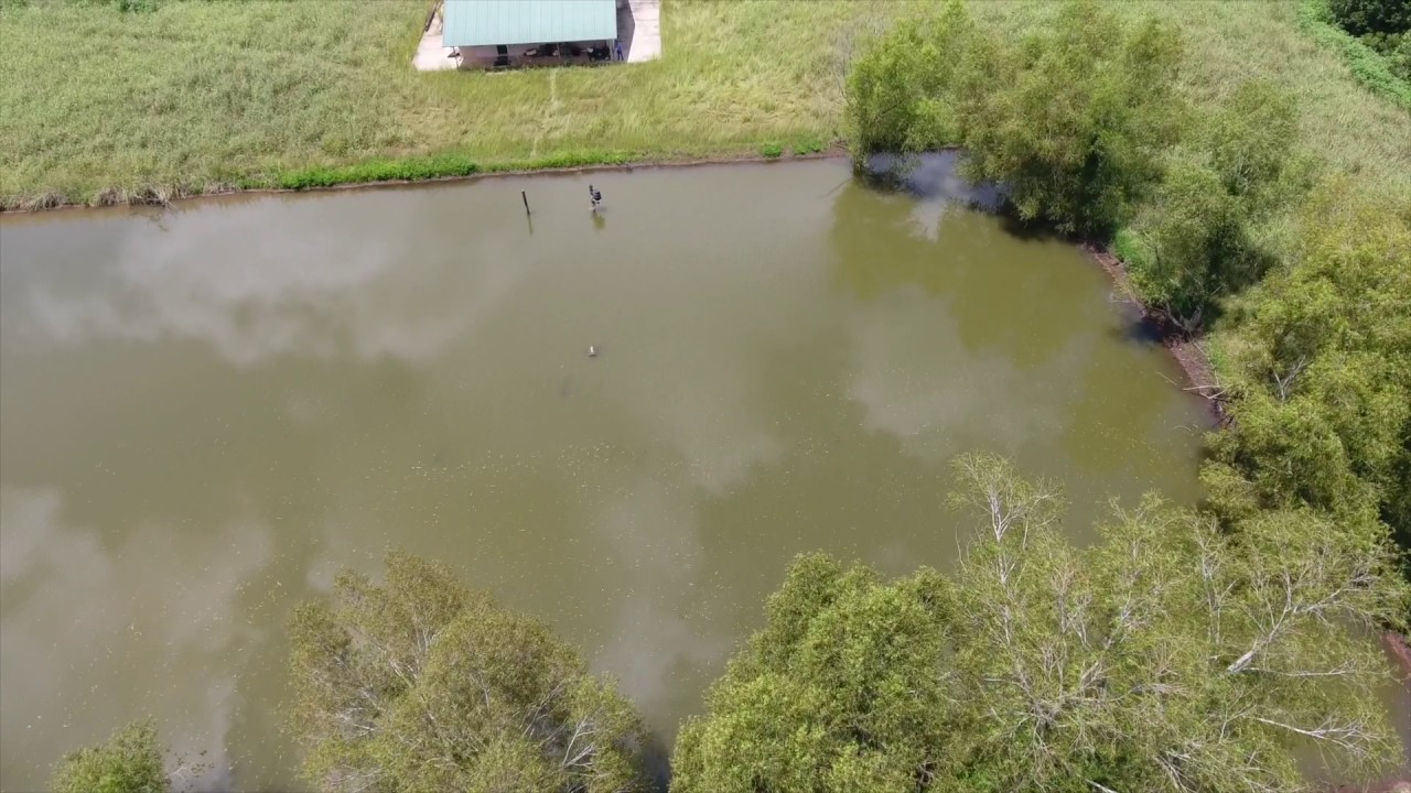 106 ACRES OF HUNTING LAND FOR SALE IN AVOYELLES PARISH, LA YouTube