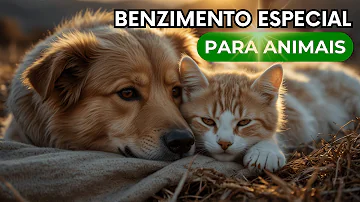 Como benzer um animal doente?