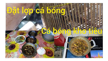 Đặt lợp cá bóng đen,cá bóng kho tiêu ăn cơm cùng vợ ( Kênh Hai bon vlog)