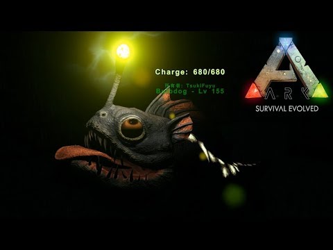 7 Ark ｱﾍﾞﾚｰｼｮﾝの木材採取はこいつ ロールラット Roll Rat をテイム Aberration アベレーション Ark Survival Evolved 公式pve Youtube