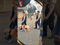 patroli kota lama semarang menggunakan K9 Polisi dalam rangka liburan Natal 2025 #dog #k9 #patroli