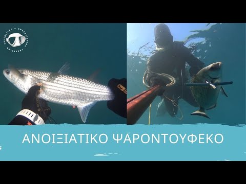 Ανοιξιάτικο ψαροτούφεκο μπάφα,