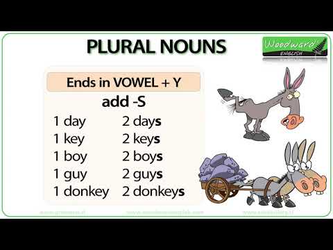 Plural Nouns in English