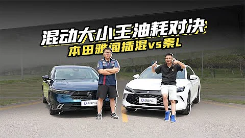 串並聯混動大小王油耗對決！比亞迪秦L對比十一代雅閣PHEV！ - 天天要聞