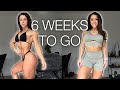 6 Weeks Out | Wellness Physique Update, Daily Food Routine + Leg Workout