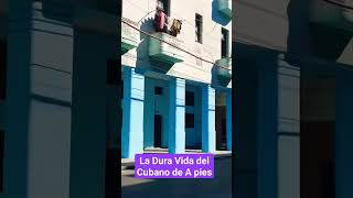 La Realidad del CUBANO de a pies realidadencuba short cuba