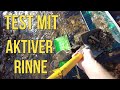 HOBBY GOLDWASCHEN - ICH TESTE EIN AKTIVES RINNENSYSTEM AUF UNGESIEBTES REINSCHAUFELN (SLUICE TEST)