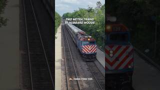 Two Metra Trains at Hubbard Woods