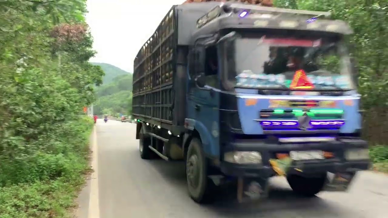 Màn biểu diễn kèn ông vàng, bassuri,kèn lốc,kèn đảo,kèn chim