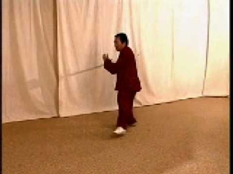 Taichi Yang Style - Fu Shen Yuan