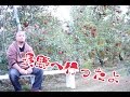 【サンふじ】長野の友人の所へ行ってきました♪【りんご狩り】apple nagano in japan