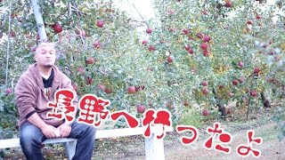 【サンふじ】長野の友人の所へ行ってきました♪【りんご狩り】apple nagano in japan