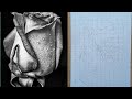 how to draw a realistic rose outline with help of grid method
