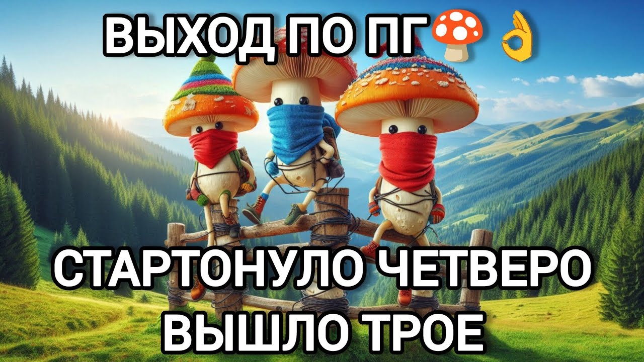 Тяжёлый выход в Румынию😱|Осторосюжетная история перехода🍄