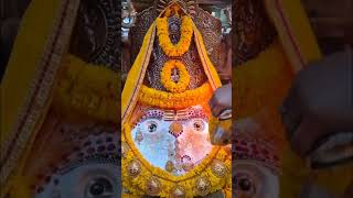 February 26, 2026 Morning Darshan Jai Kalka Maa