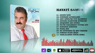 Hayati  Samur    -    Tarlalarda Üzüm Var