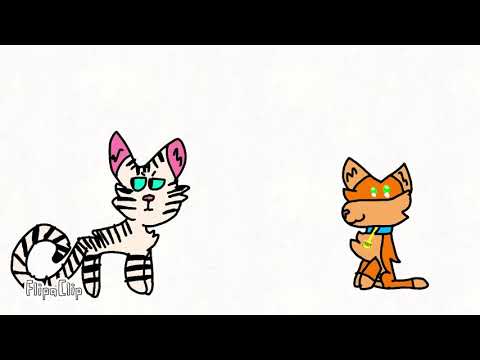 When rusty joins ThunderClan