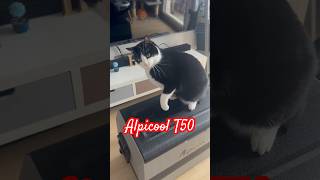El ÚNICO problema de mi nevera camper 🥶🐈⬛