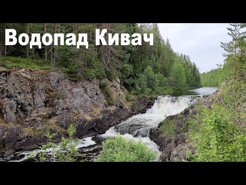 Водопад Кивач, Карелия - Автопутешествие из Москвы на север России |  Kivach waterfall, Karelia