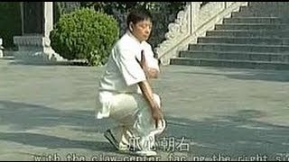 Shaolin Kung Fu Counterattack Strategy – Chang Hu Xinyi Men (Long Guard Gate) ⅔ | Wang Zong Ren²