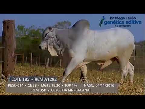 Lote 185  - REM FREXO