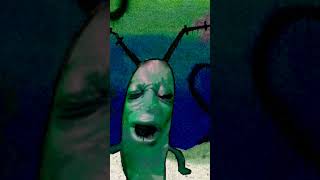 stop recording when it says your birt month