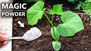 This Magic White Powder Eliminates 95% of Garden Problems