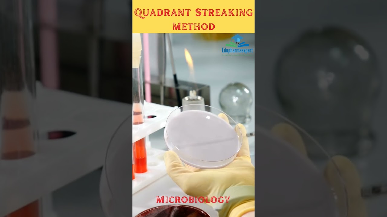 Microbiology || Quadrant Streaking Method #microbiology #shorts #EdupharmaexpertShorts #streakplate