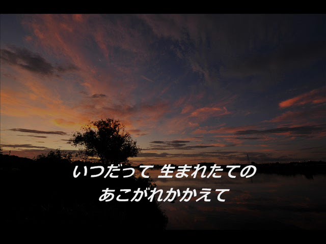 夜明けの仲間たちNEW!麻生しおり