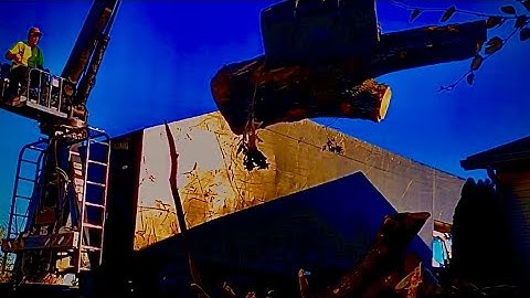 Unloading Logs With Grapple Truck