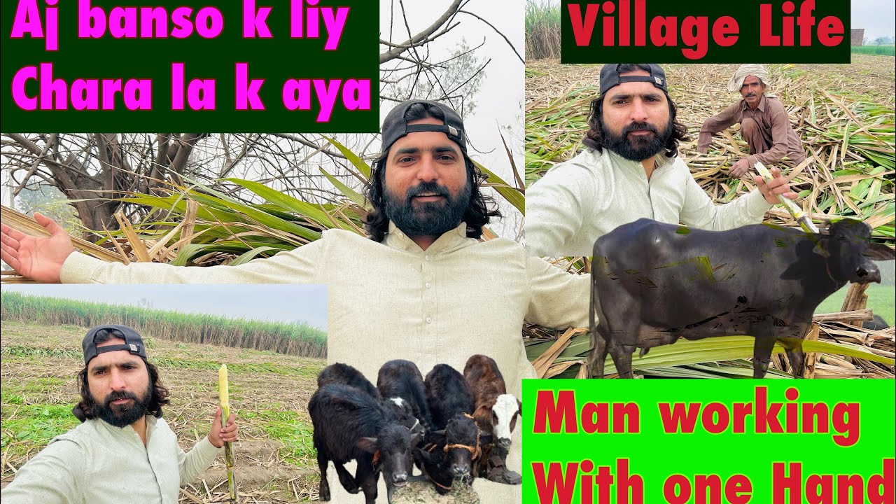 Sunday Funday full entertainment Village ture Fild vist 