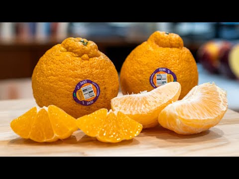 Video: Sumo citrus saj zoo li cas?