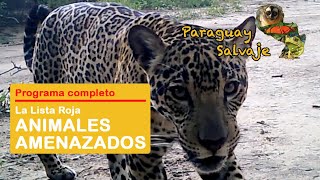 La Lista Roja: Animales amenazados