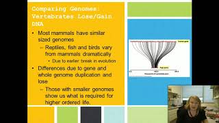 B204  Chapter 9 Part 2